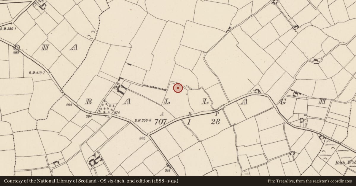 Ordnance Survey six-inch map, 2nd edition (1888–1915) covering the location of Ringfort - rath, Ballagh, County Wexford, with a pin at the register's coordinates