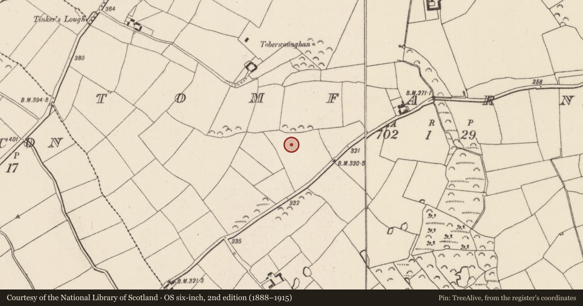 Ordnance Survey six-inch map, 2nd edition (1888–1915) covering the location of Cist, Tomfarney, County Wexford, with a pin at the register's coordinates