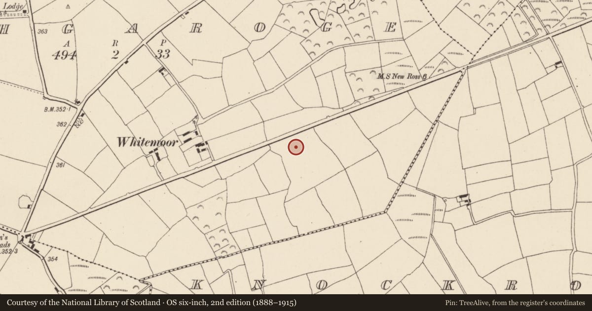 Ordnance Survey six-inch map, 2nd edition (1888–1915) covering the location of Flat cemetery, Rathgaroge, County Wexford, with a pin at the register's coordinates