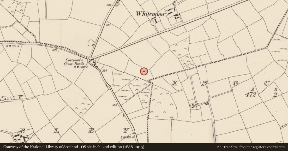 Ordnance Survey six-inch map, 2nd edition (1888–1915) covering the location of Fulacht fia, Rathgaroge, County Wexford, with a pin at the register's coordinates