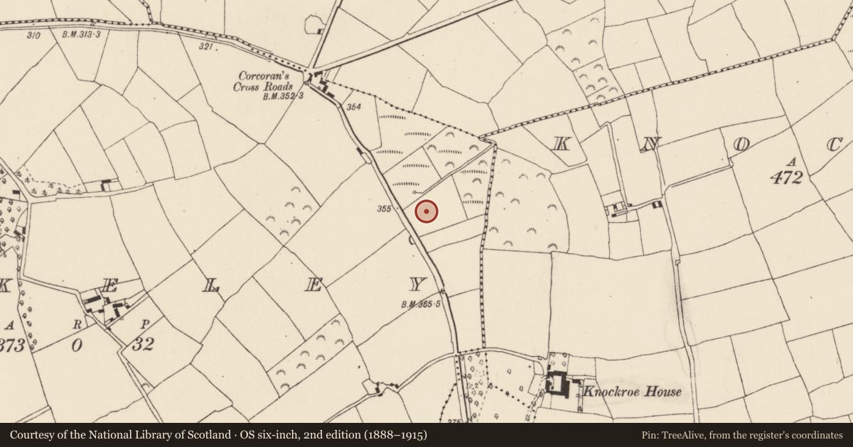 Ordnance Survey six-inch map, 2nd edition (1888–1915) covering the location of Fulacht fia, Berkeley, County Wexford, with a pin at the register's coordinates