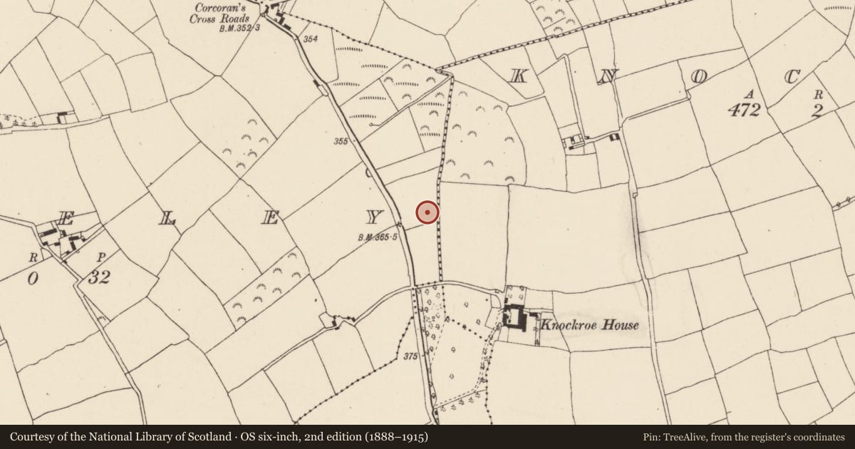 Ordnance Survey six-inch map, 2nd edition (1888–1915) covering the location of Burnt mound, Berkeley, County Wexford, with a pin at the register's coordinates