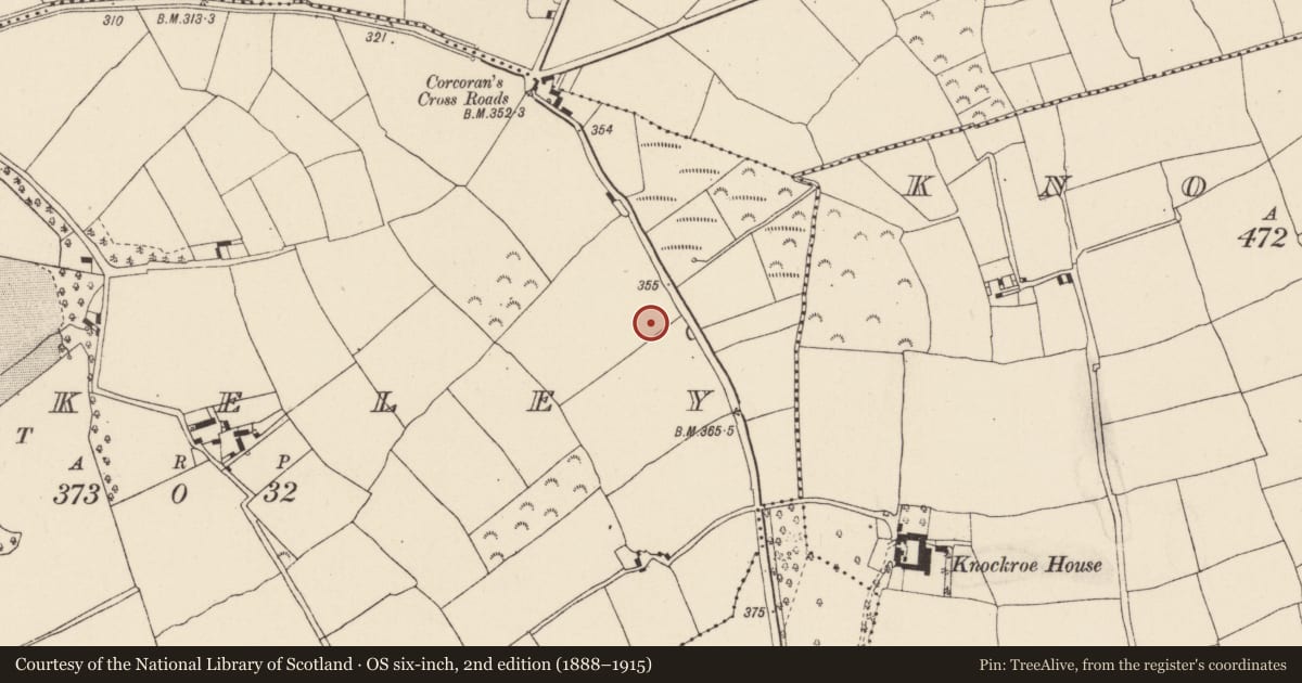 Ordnance Survey six-inch map, 2nd edition (1888–1915) covering the location of Flat cemetery, Berkeley, County Wexford, with a pin at the register's coordinates