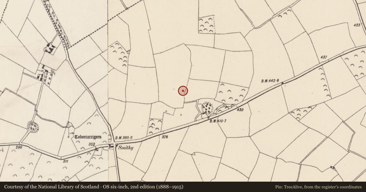 Ordnance Survey six-inch map, 2nd edition (1888–1915) covering the location of Excavation - miscellaneous, Lacken, County Wexford, with a pin at the register's coordinates