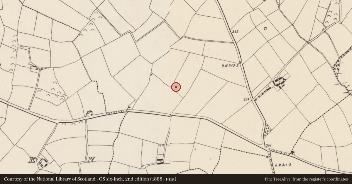 Ordnance Survey six-inch map, 2nd edition (1888–1915) covering the location of Excavation - miscellaneous, Lacken, County Wexford, with a pin at the register's coordinates