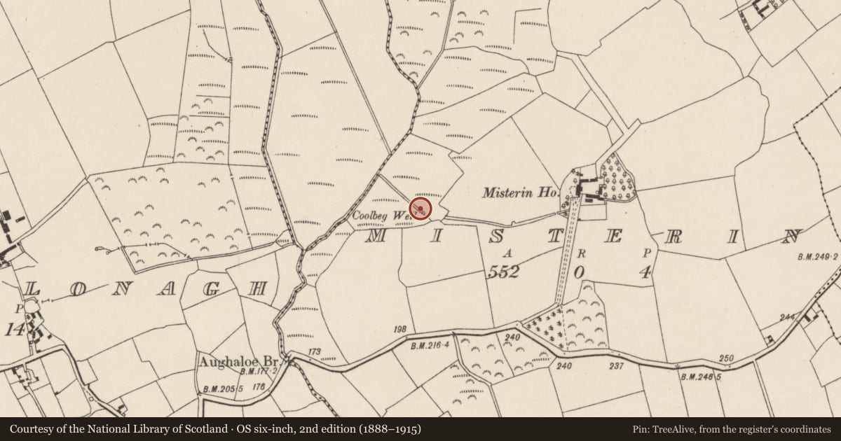 Ordnance Survey six-inch map, 2nd edition (1888–1915) covering the location of Well, Misterin, County Wexford, with a pin at the register's coordinates