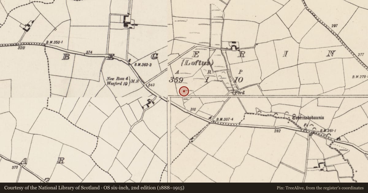 Ordnance Survey six-inch map, 2nd edition (1888–1915) covering the location of Burnt mound, Begerin (Lloyd), County Wexford, with a pin at the register's coordinates