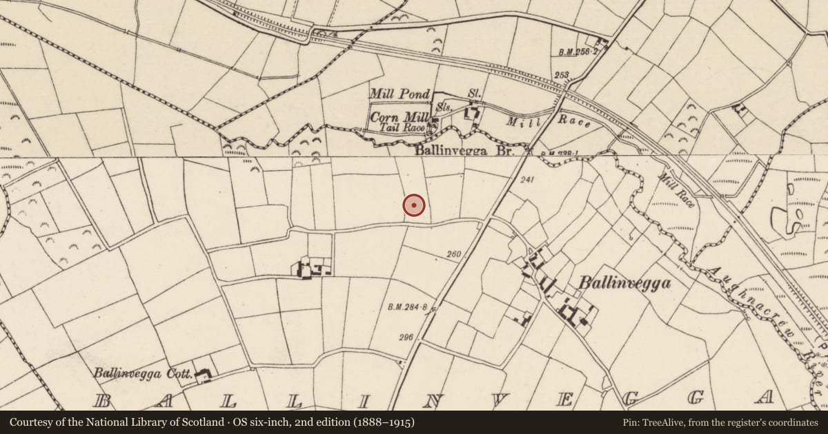 Ordnance Survey six-inch map, 2nd edition (1888–1915) covering the location of Battlefield, Ballinvegga, Ballygalvert, County Wexford, with a pin at the register's coordinates