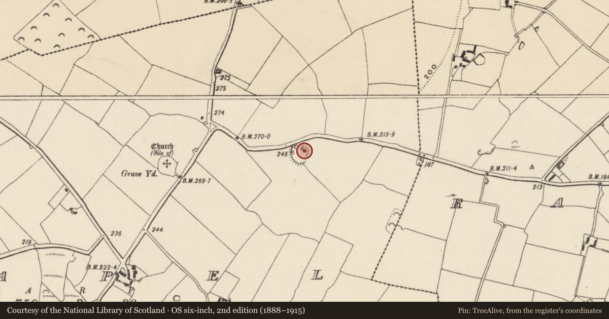 Ordnance Survey six-inch map, 2nd edition (1888–1915) covering the location of Ringfort - rath, Chapel, County Wexford, with a pin at the register's coordinates