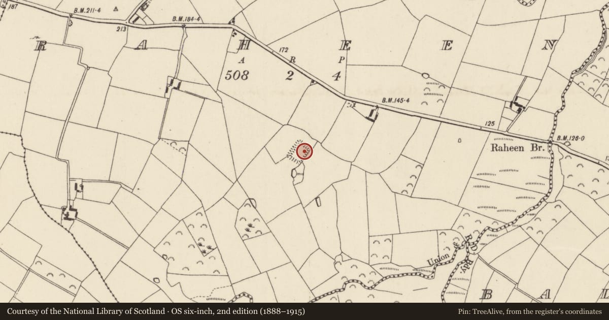 Ordnance Survey six-inch map, 2nd edition (1888–1915) covering the location of Moated site, Raheen, County Wexford, with a pin at the register's coordinates