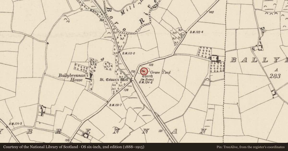 Ordnance Survey six-inch map, 2nd edition (1888–1915) covering the location of Church, Ballybrennan, County Wexford, with a pin at the register's coordinates