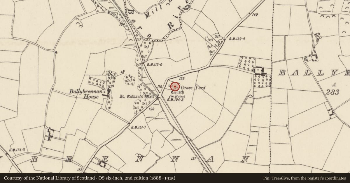 Ordnance Survey six-inch map, 2nd edition (1888–1915) covering the location of Cross, Ballybrennan, County Wexford, with a pin at the register's coordinates