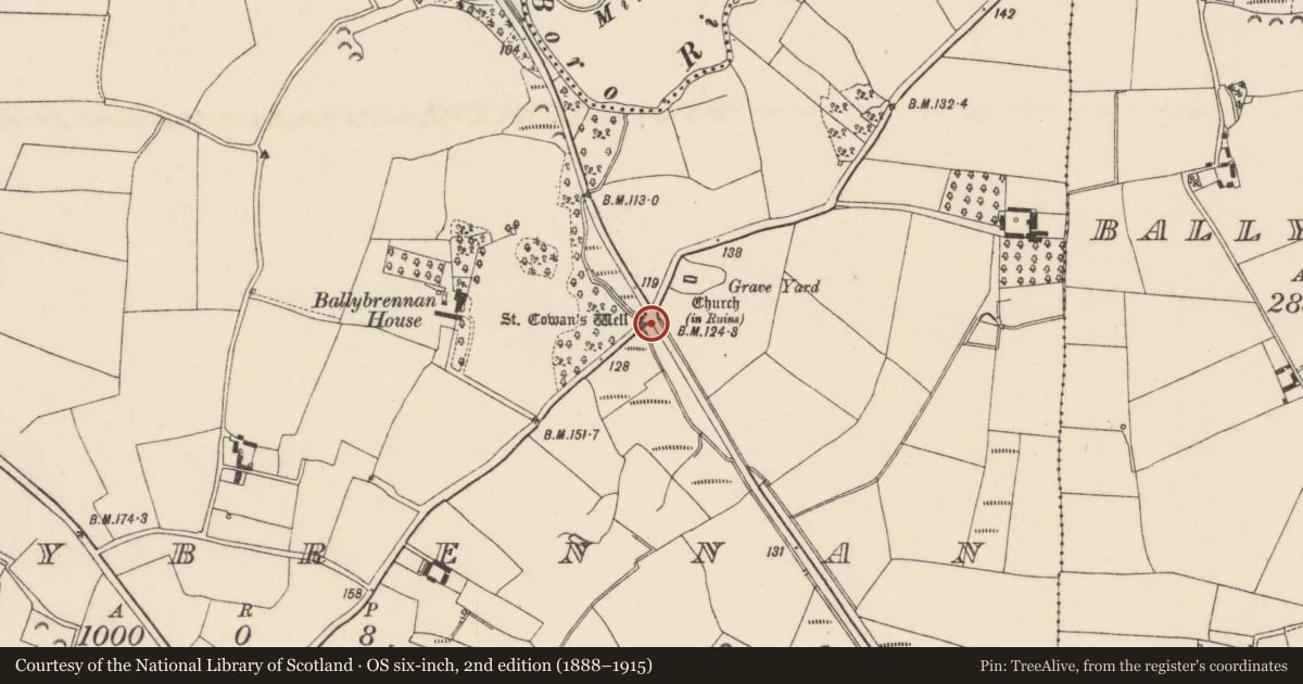 Ordnance Survey six-inch map, 2nd edition (1888–1915) covering the location of Ritual site - holy well, Ballybrennan, County Wexford, with a pin at the register's coordinates