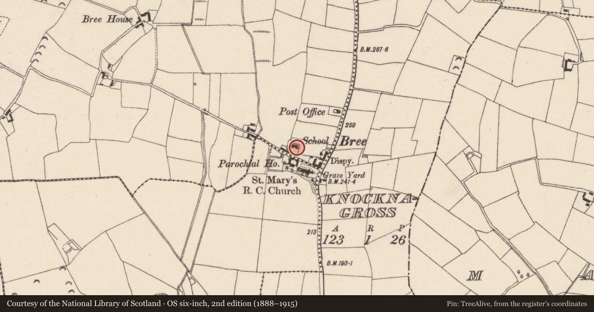 Ordnance Survey six-inch map, 2nd edition (1888–1915) covering the location of Church, Bree, County Wexford, with a pin at the register's coordinates