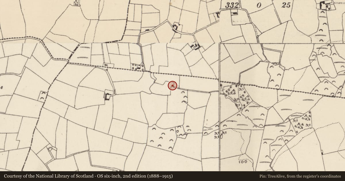 Ordnance Survey six-inch map, 2nd edition (1888–1915) covering the location of Mound, MacKmine, County Wexford, with a pin at the register's coordinates