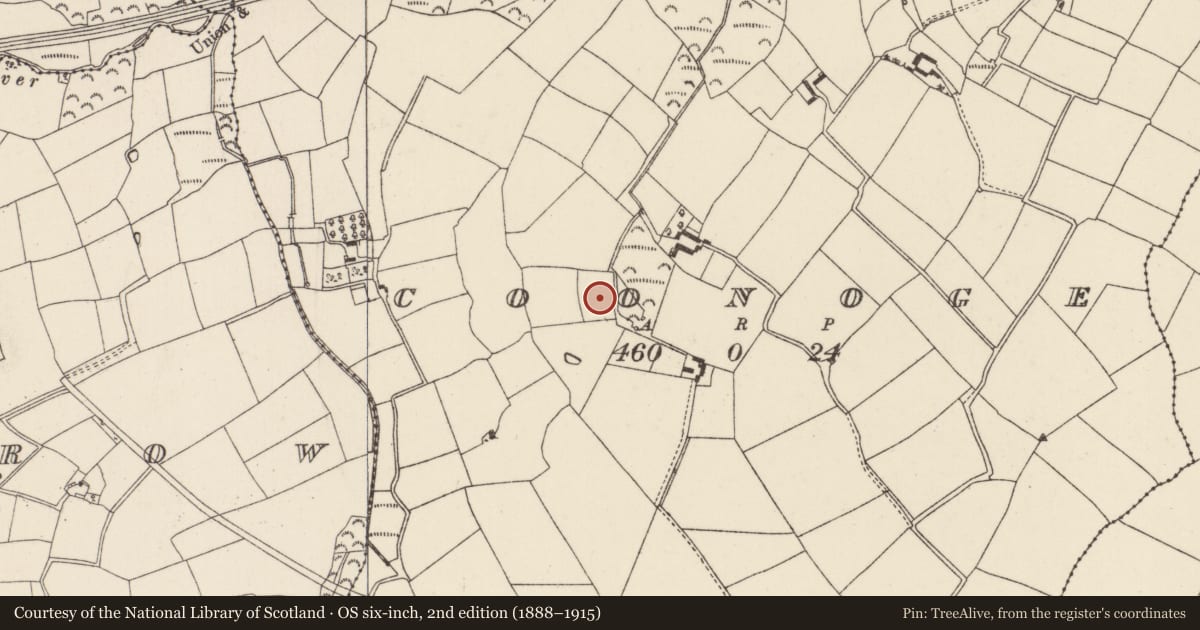 Ordnance Survey six-inch map, 2nd edition (1888–1915) covering the location of Moated site, Coonoge, County Wexford, with a pin at the register's coordinates