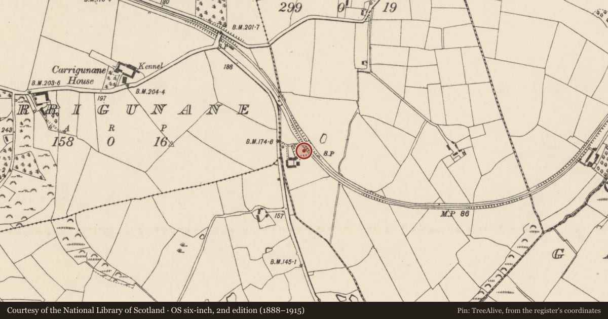 Ordnance Survey six-inch map, 2nd edition (1888–1915) covering the location of Moated site, Sparrowsland, County Wexford, with a pin at the register's coordinates