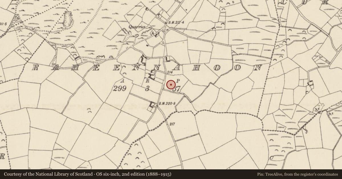 Ordnance Survey six-inch map, 2nd edition (1888–1915) covering the location of Moated site, Raheennahoon, County Wexford, with a pin at the register's coordinates