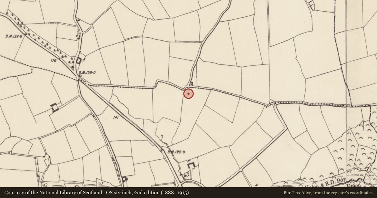 Ordnance Survey six-inch map, 2nd edition (1888–1915) covering the location of Ringfort - unclassified, Kereight, County Wexford, with a pin at the register's coordinates