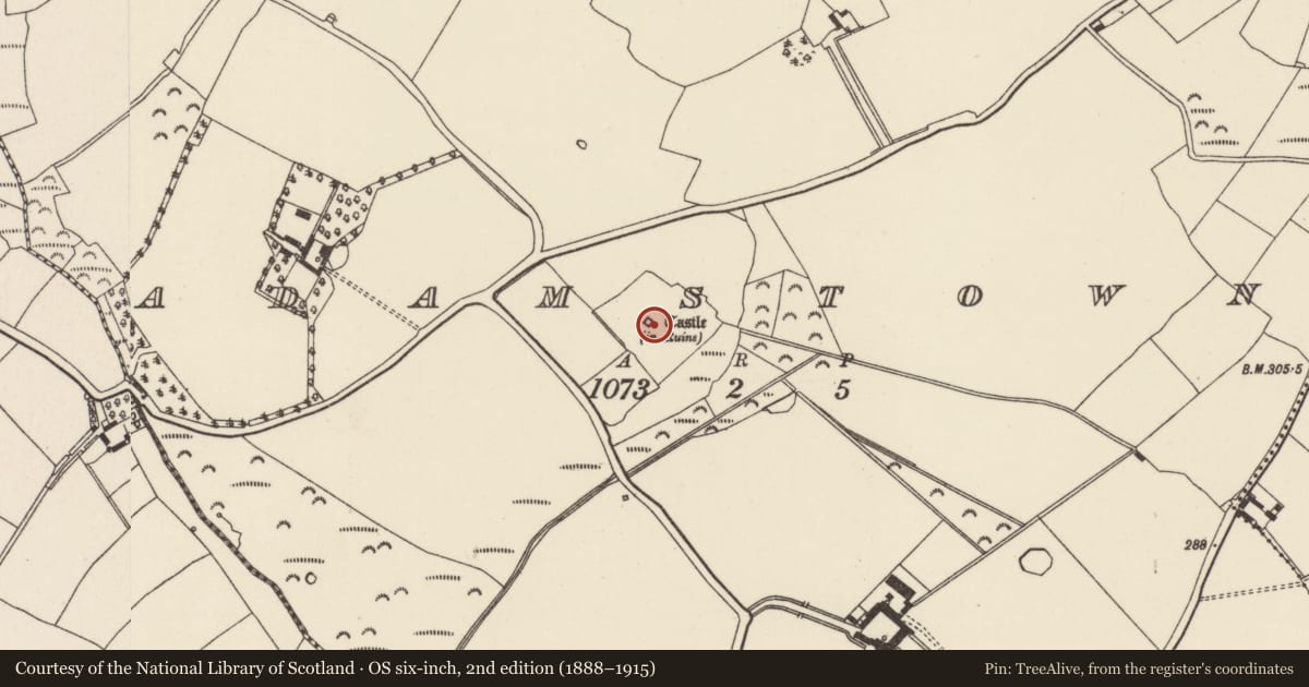 Ordnance Survey six-inch map, 2nd edition (1888–1915) covering the location of Castle - tower house, Adamstown, County Wexford, with a pin at the register's coordinates