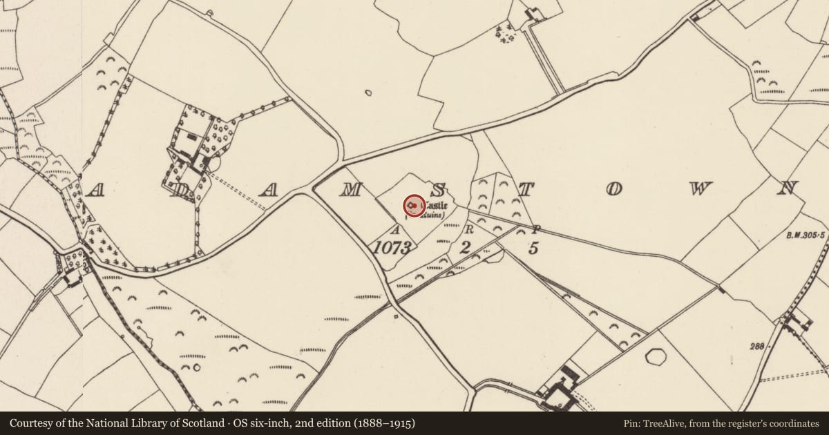 Ordnance Survey six-inch map, 2nd edition (1888–1915) covering the location of Bawn, Adamstown, County Wexford, with a pin at the register's coordinates
