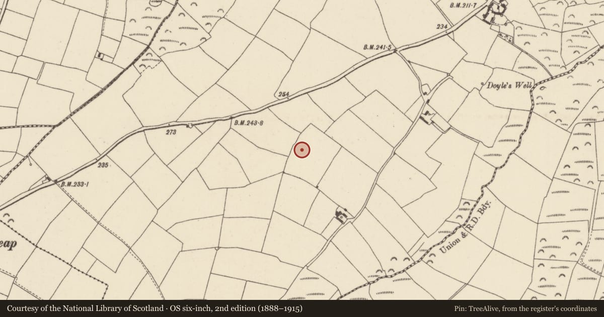 Ordnance Survey six-inch map, 2nd edition (1888–1915) covering the location of Ringfort - rath, Kellystown, County Wexford, with a pin at the register's coordinates