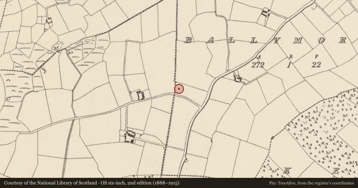 Ordnance Survey six-inch map, 2nd edition (1888–1915) covering the location of Moated site, Ballymorris, County Wexford, with a pin at the register's coordinates