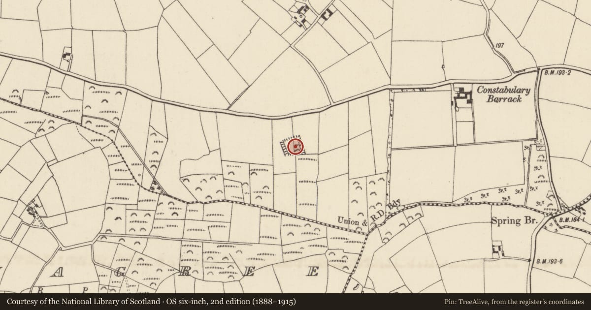Ordnance Survey six-inch map, 2nd edition (1888–1915) covering the location of House - indeterminate date, Galbally, County Wexford, with a pin at the register's coordinates