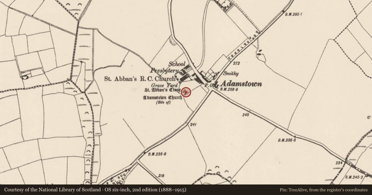 Ordnance Survey six-inch map, 2nd edition (1888–1915) covering the location of Church, Adamstown, County Wexford, with a pin at the register's coordinates