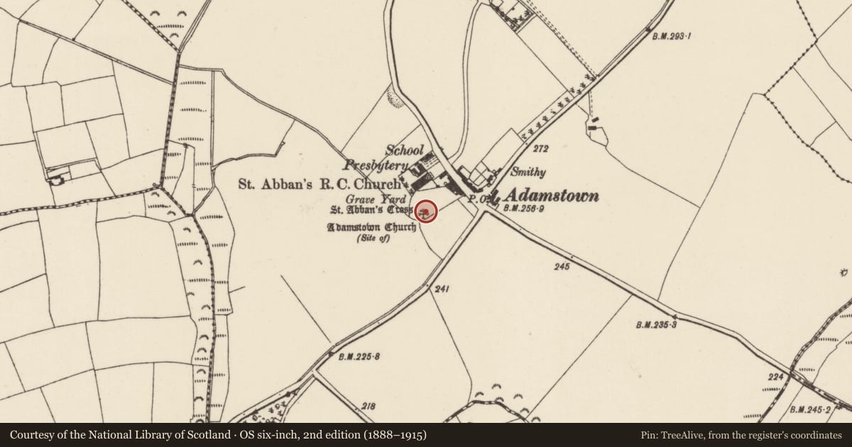 Ordnance Survey six-inch map, 2nd edition (1888–1915) covering the location of Cross - High cross, Adamstown, County Wexford, with a pin at the register's coordinates