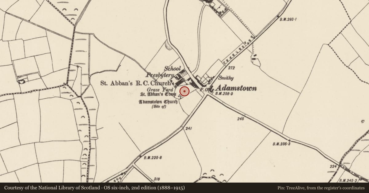 Ordnance Survey six-inch map, 2nd edition (1888–1915) covering the location of Graveyard, Adamstown, County Wexford, with a pin at the register's coordinates