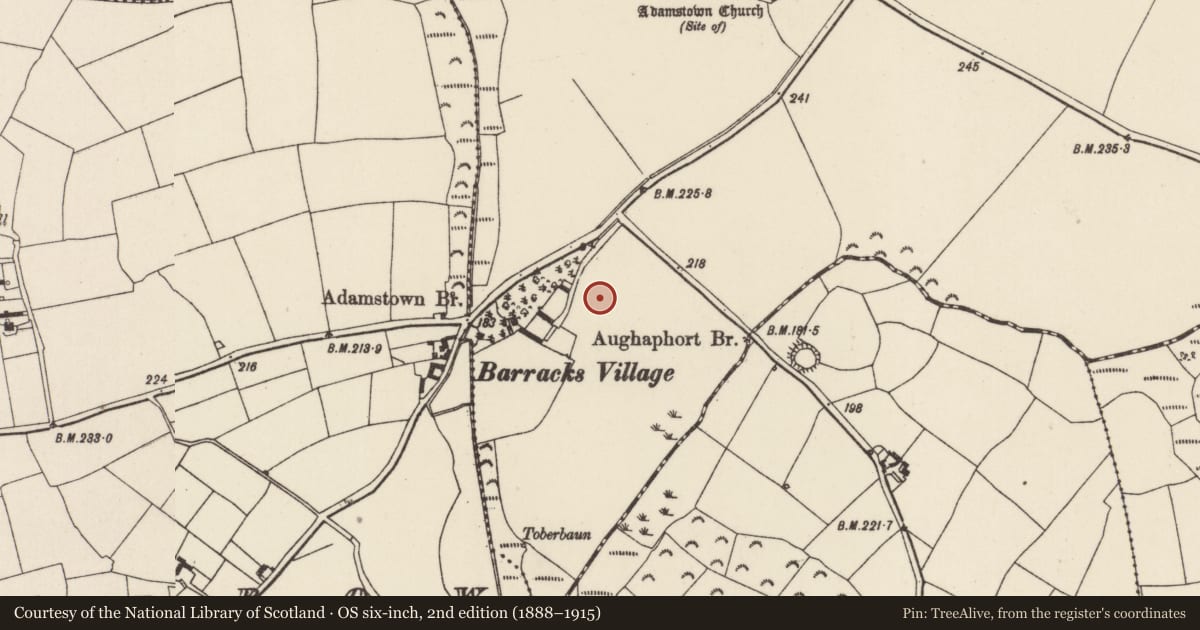 Ordnance Survey six-inch map, 2nd edition (1888–1915) covering the location of Church, Adamstown, County Wexford, with a pin at the register's coordinates