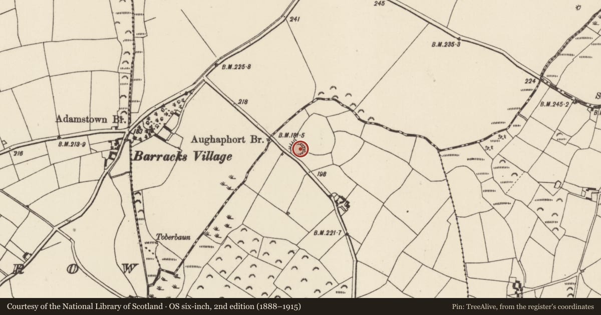 Ordnance Survey six-inch map, 2nd edition (1888–1915) covering the location of Moated site, Glenour, County Wexford, with a pin at the register's coordinates