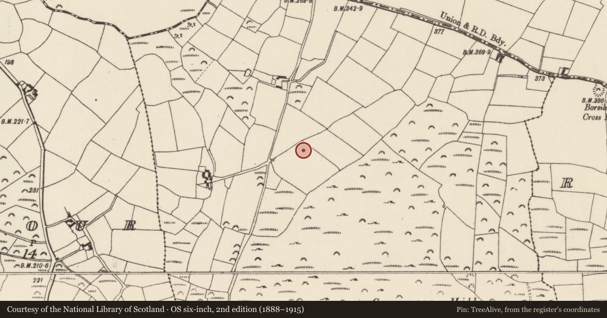 Ordnance Survey six-inch map, 2nd edition (1888–1915) covering the location of Ringfort - rath, Camaross, County Wexford, with a pin at the register's coordinates
