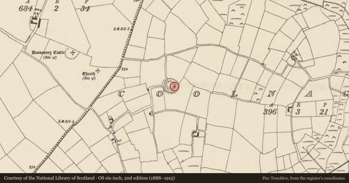 Ordnance Survey six-inch map, 2nd edition (1888–1915) covering the location of Ringfort - rath, Coolnagree, County Wexford, with a pin at the register's coordinates