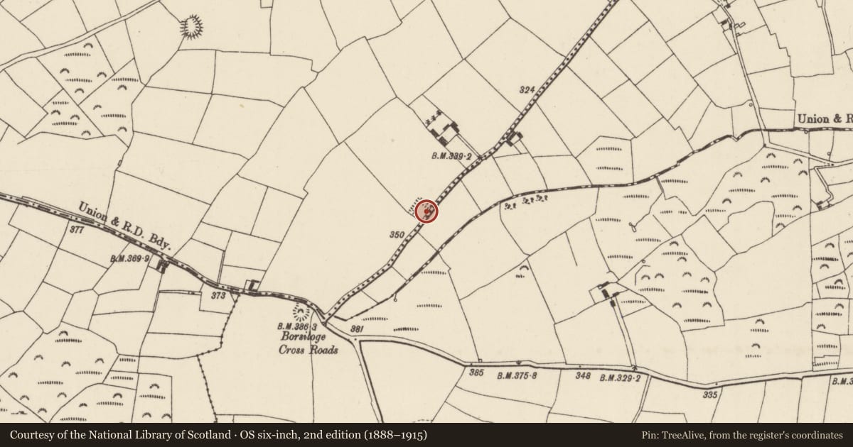 Ordnance Survey six-inch map, 2nd edition (1888–1915) covering the location of Moated site, Doonooney, County Wexford, with a pin at the register's coordinates
