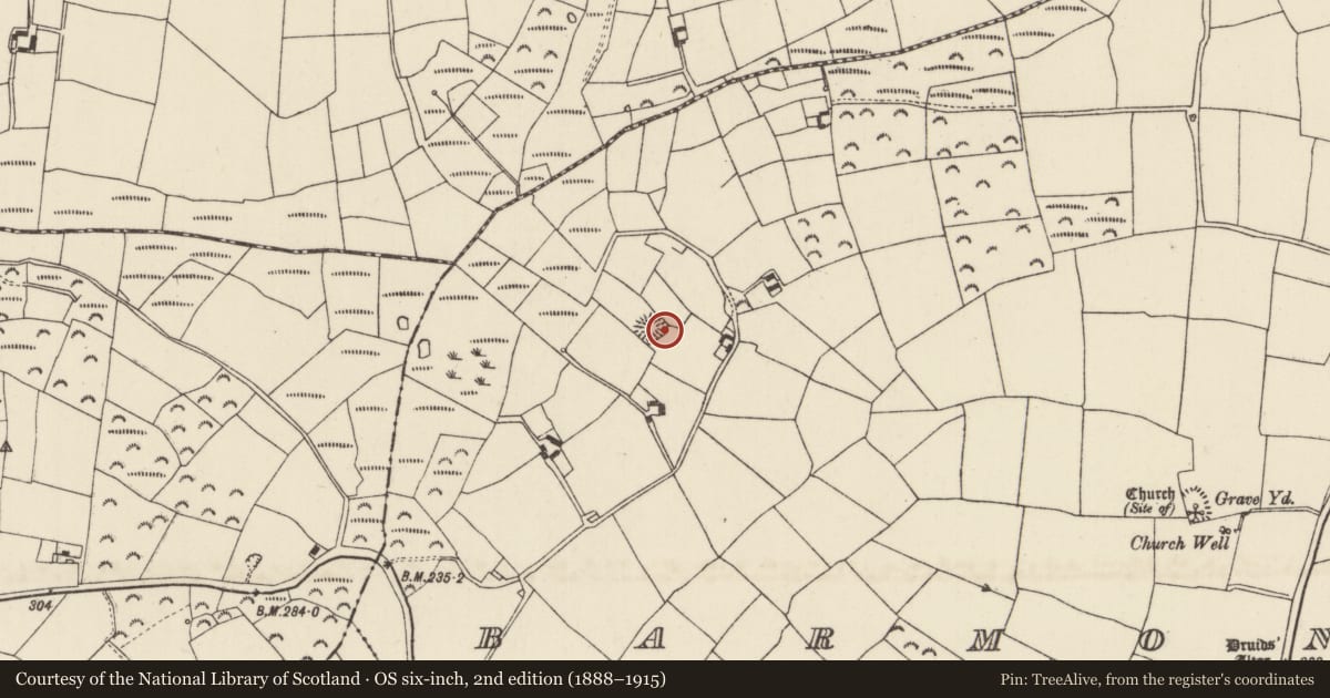 Ordnance Survey six-inch map, 2nd edition (1888–1915) covering the location of Ringfort - rath, Barmoney, County Wexford, with a pin at the register's coordinates