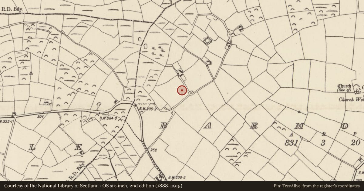 Ordnance Survey six-inch map, 2nd edition (1888–1915) covering the location of Ringfort - unclassified, Barmoney, County Wexford, with a pin at the register's coordinates