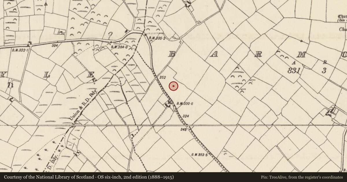 Ordnance Survey six-inch map, 2nd edition (1888–1915) covering the location of Ringfort - unclassified, Barmoney, County Wexford, with a pin at the register's coordinates