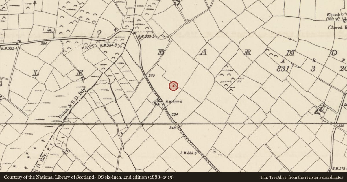 Ordnance Survey six-inch map, 2nd edition (1888–1915) covering the location of Ringfort - unclassified, Barmoney, County Wexford, with a pin at the register's coordinates