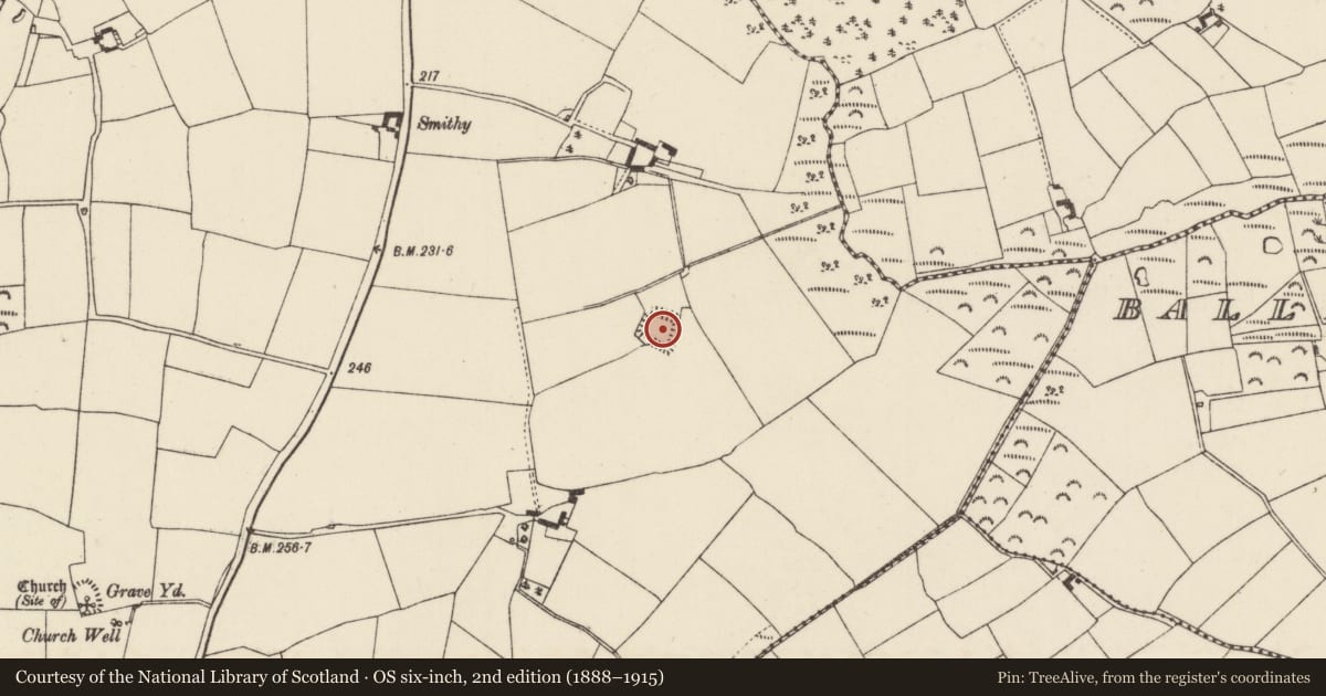 Ordnance Survey six-inch map, 2nd edition (1888–1915) covering the location of Moated site, Barmoney, County Wexford, with a pin at the register's coordinates