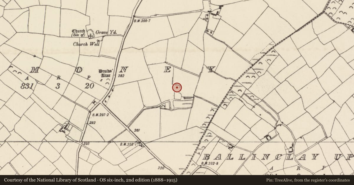 Ordnance Survey six-inch map, 2nd edition (1888–1915) covering the location of Moated site, Barmoney, County Wexford, with a pin at the register's coordinates