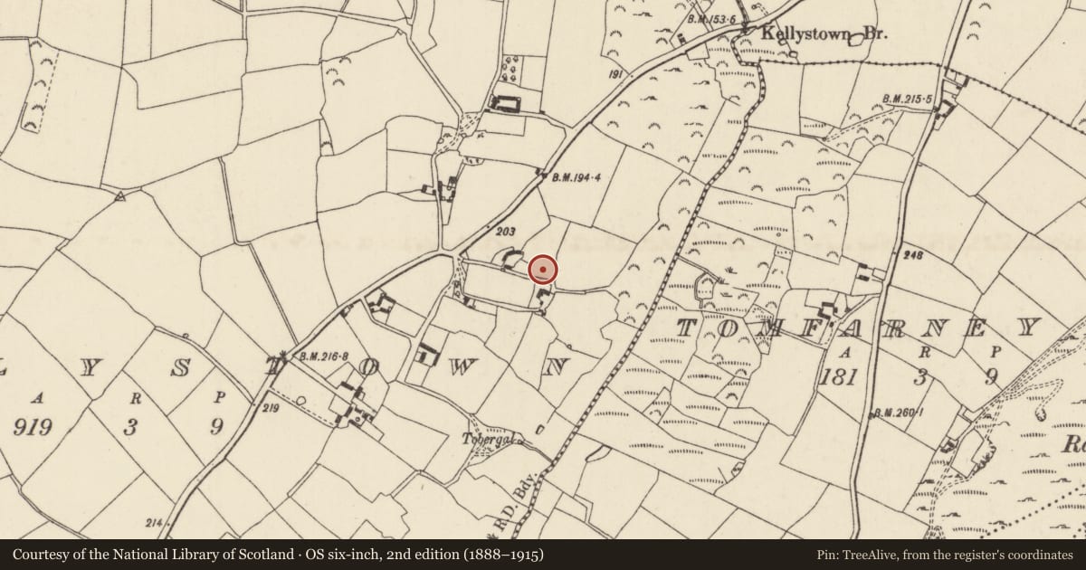 Ordnance Survey six-inch map, 2nd edition (1888–1915) covering the location of Souterrain, Kellystown, County Wexford, with a pin at the register's coordinates