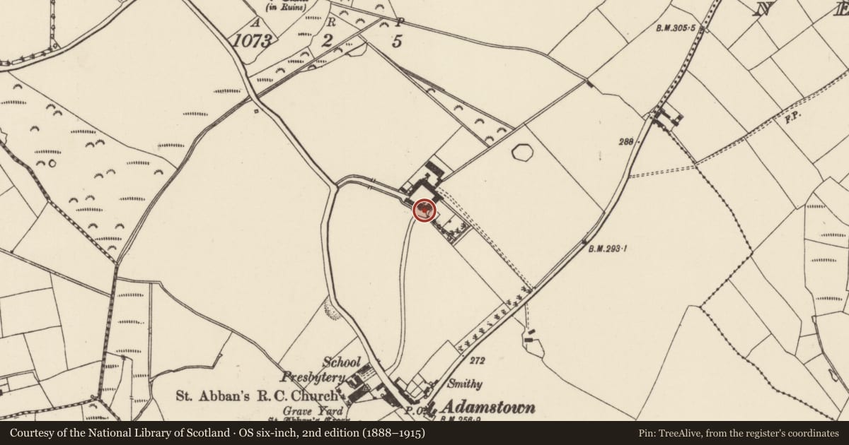 Ordnance Survey six-inch map, 2nd edition (1888–1915) covering the location of Memorial stone (present location), Adamstown, County Wexford, with a pin at the register's coordinates