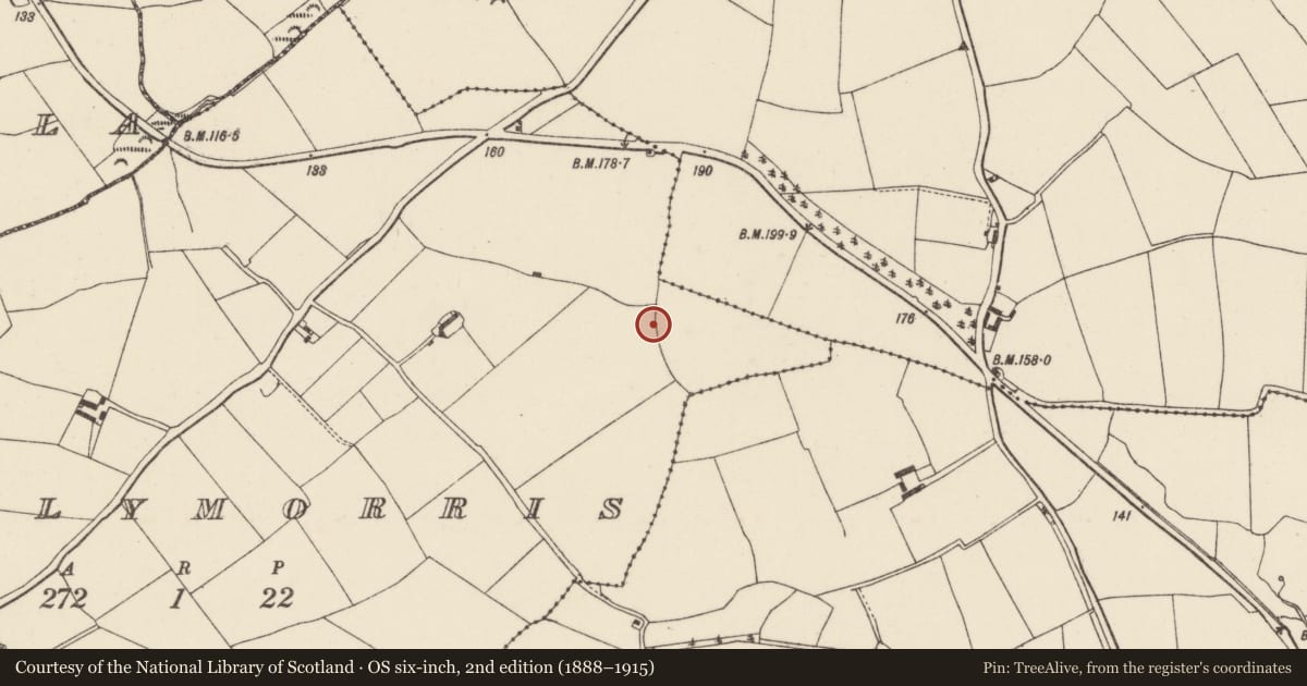 Ordnance Survey six-inch map, 2nd edition (1888–1915) covering the location of Children's burial ground, Ballymorris, County Wexford, with a pin at the register's coordinates