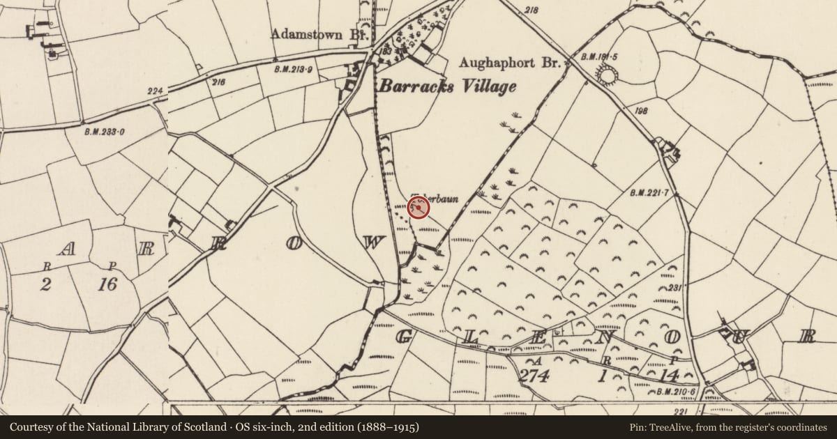 Ordnance Survey six-inch map, 2nd edition (1888–1915) covering the location of Ritual site - holy well, Adamstown, County Wexford, with a pin at the register's coordinates