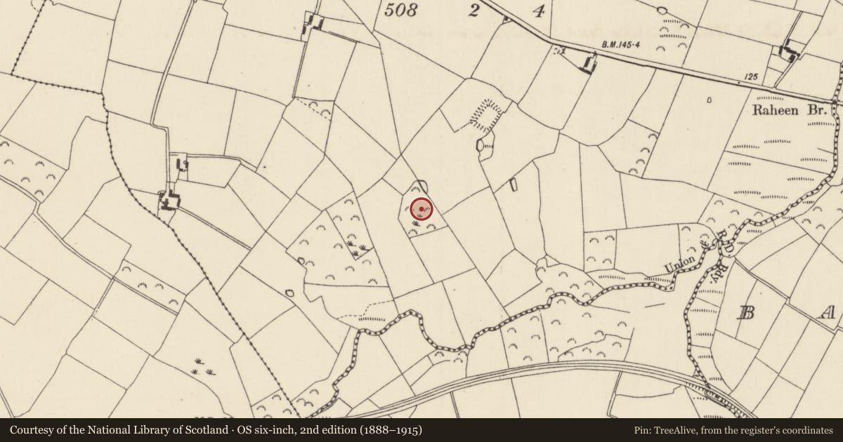 Ordnance Survey six-inch map, 2nd edition (1888–1915) covering the location of Ringfort - rath, Raheen, County Wexford, with a pin at the register's coordinates