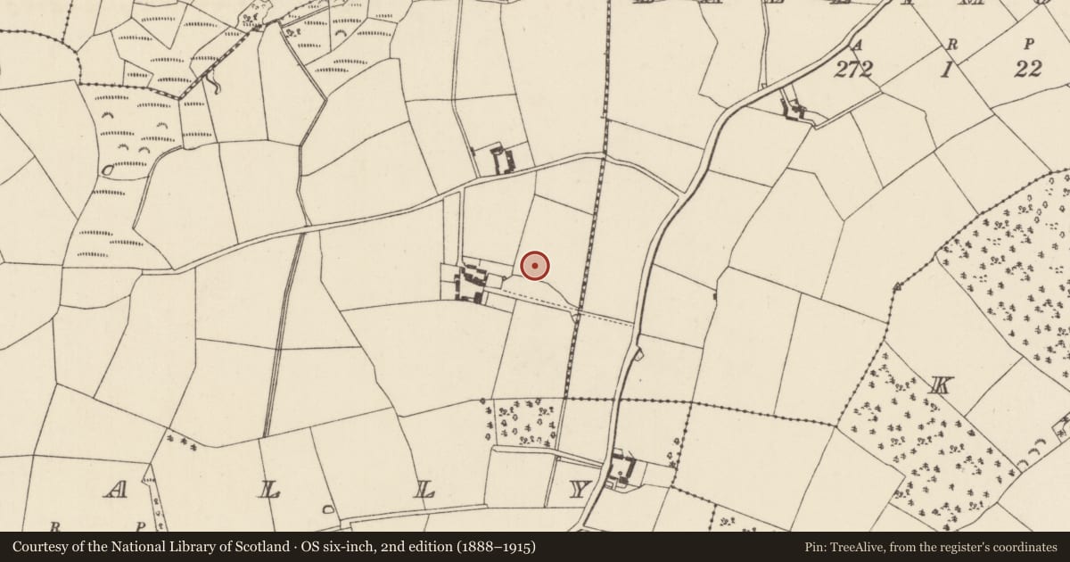 Ordnance Survey six-inch map, 2nd edition (1888–1915) covering the location of Ringfort - rath, Galbally, County Wexford, with a pin at the register's coordinates
