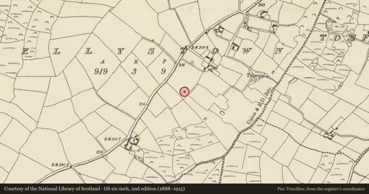 Ordnance Survey six-inch map, 2nd edition (1888–1915) covering the location of Cist, Kellystown, County Wexford, with a pin at the register's coordinates
