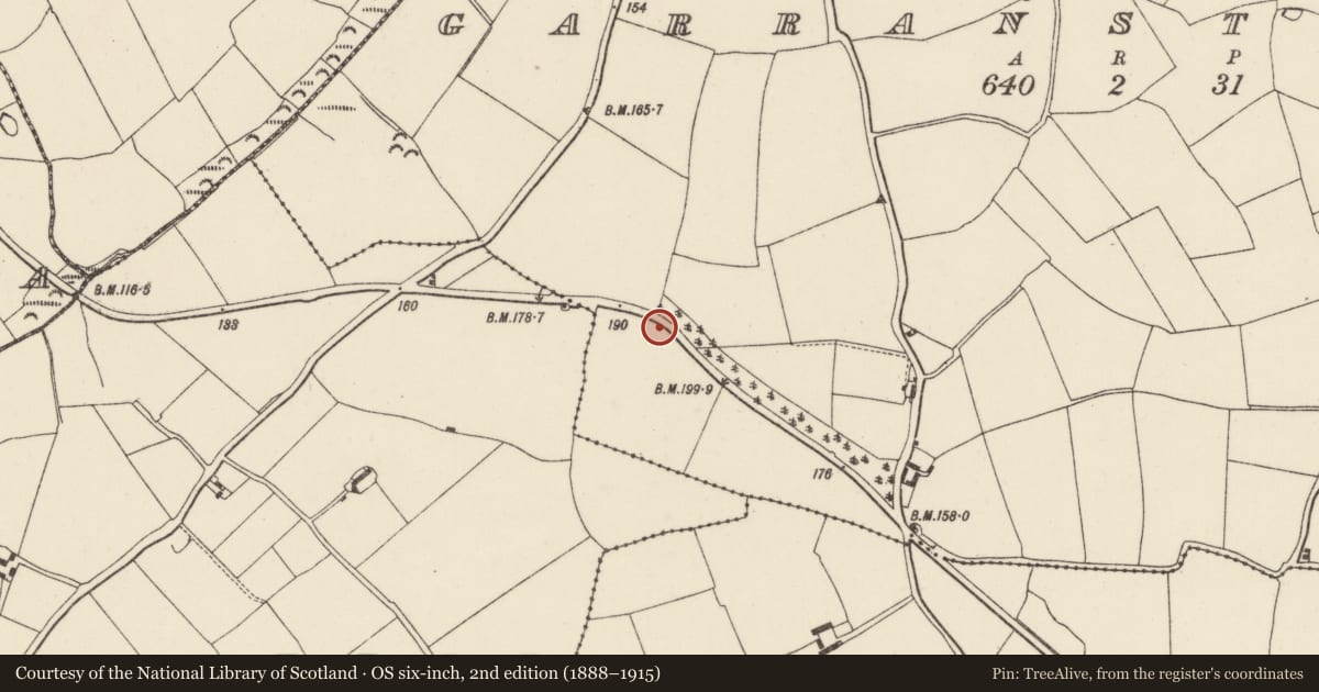 Ordnance Survey six-inch map, 2nd edition (1888–1915) covering the location of Ring-ditch, Garranstackle, County Wexford, with a pin at the register's coordinates